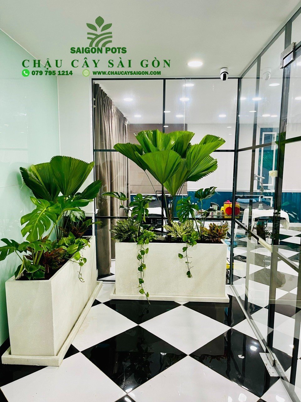 Thi công cây xanh Viện Thẩm Mỹ ChiVee 3