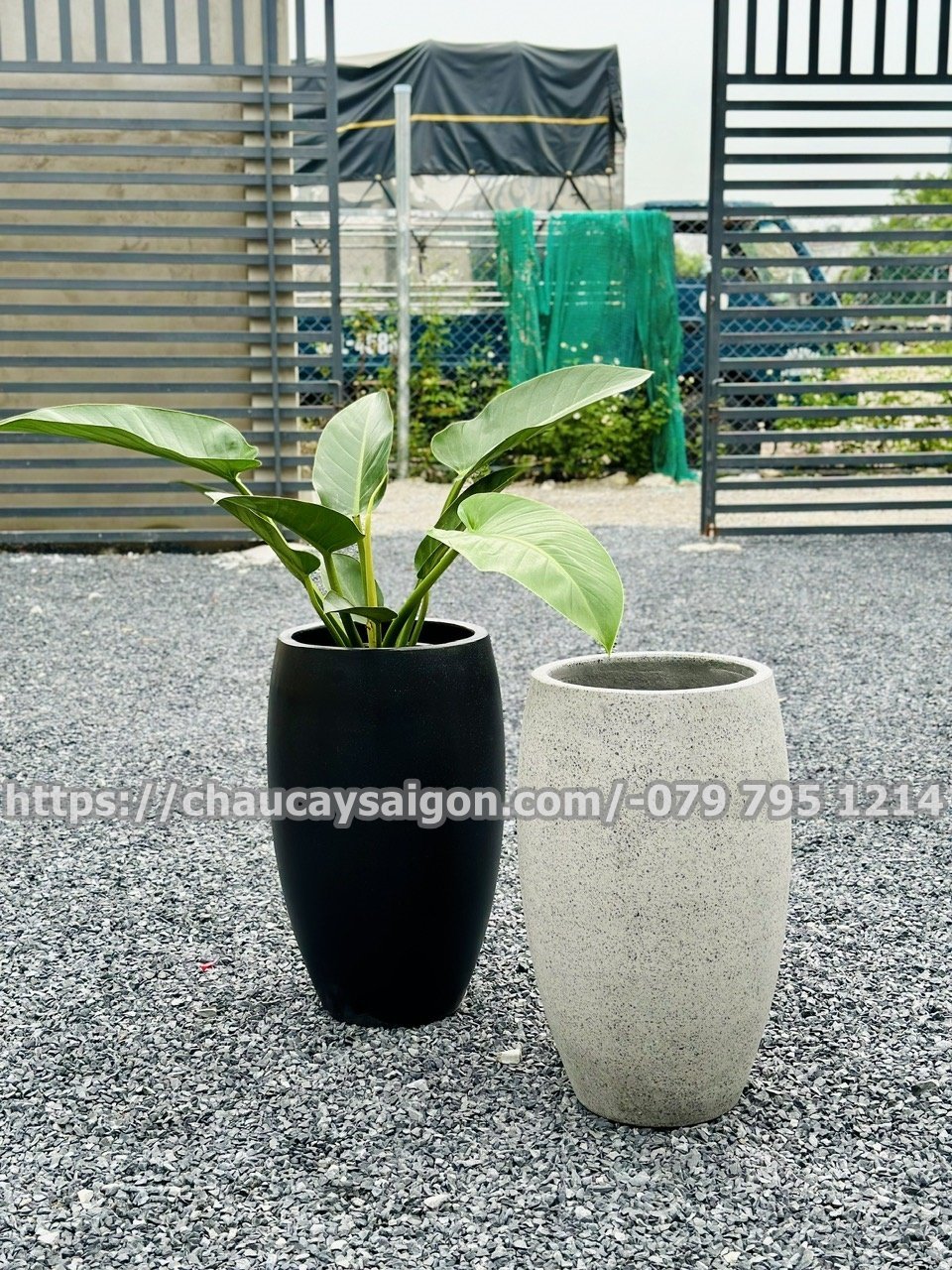 Chậu xi măng bầu dục