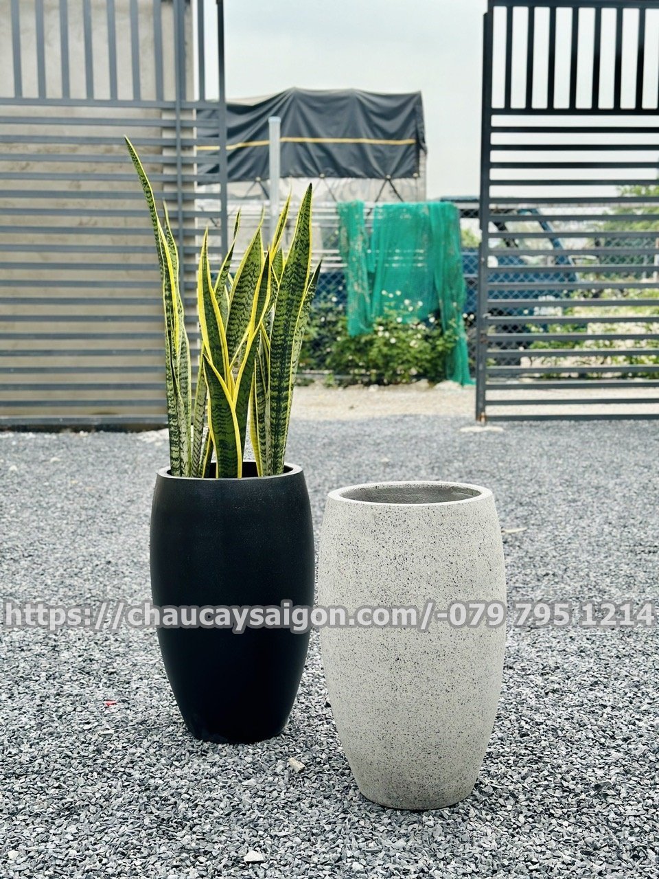 Chậu xi măng bầu dục 2