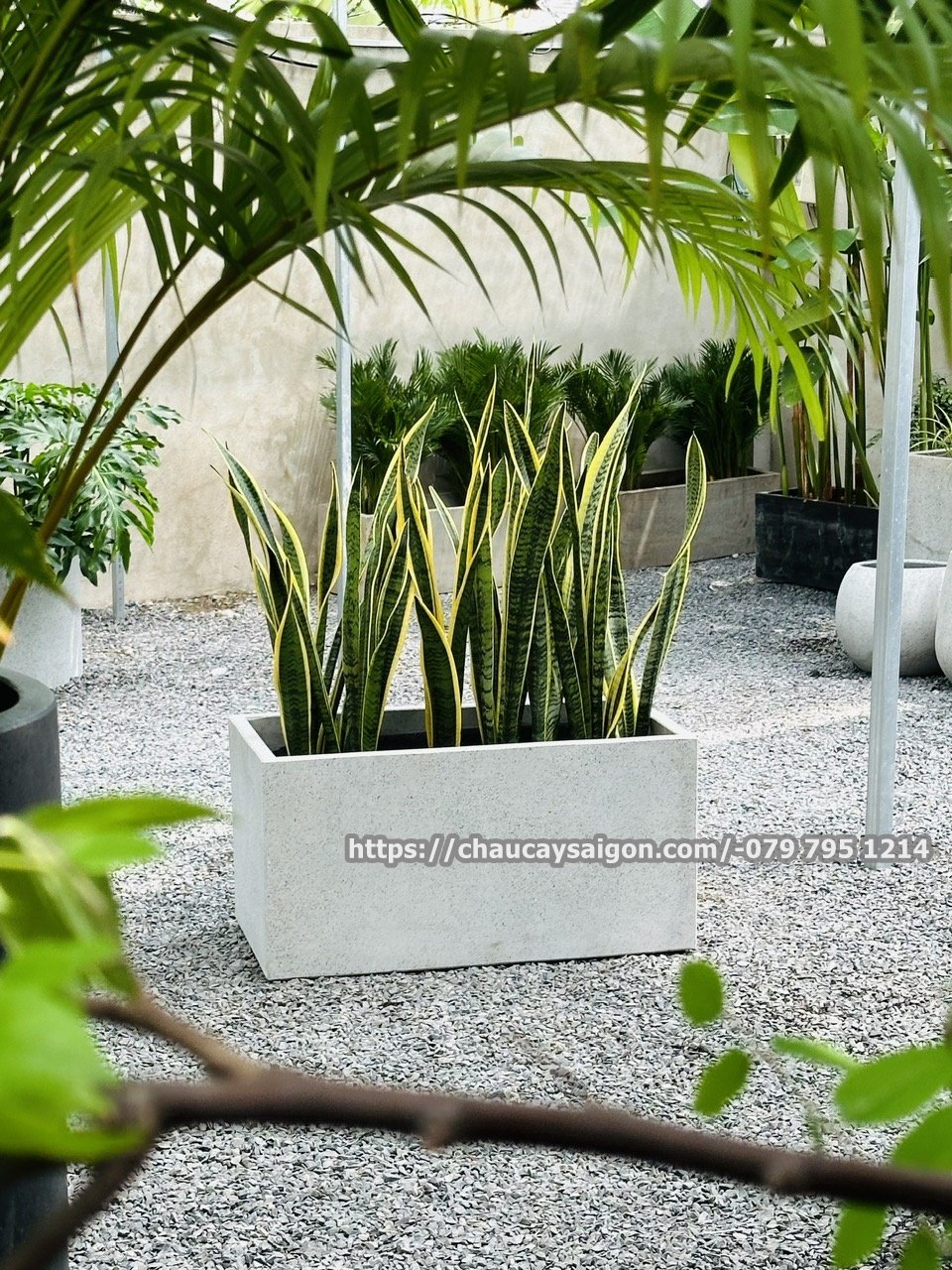 Chậu đá mài chữ nhật 60x30x30 3