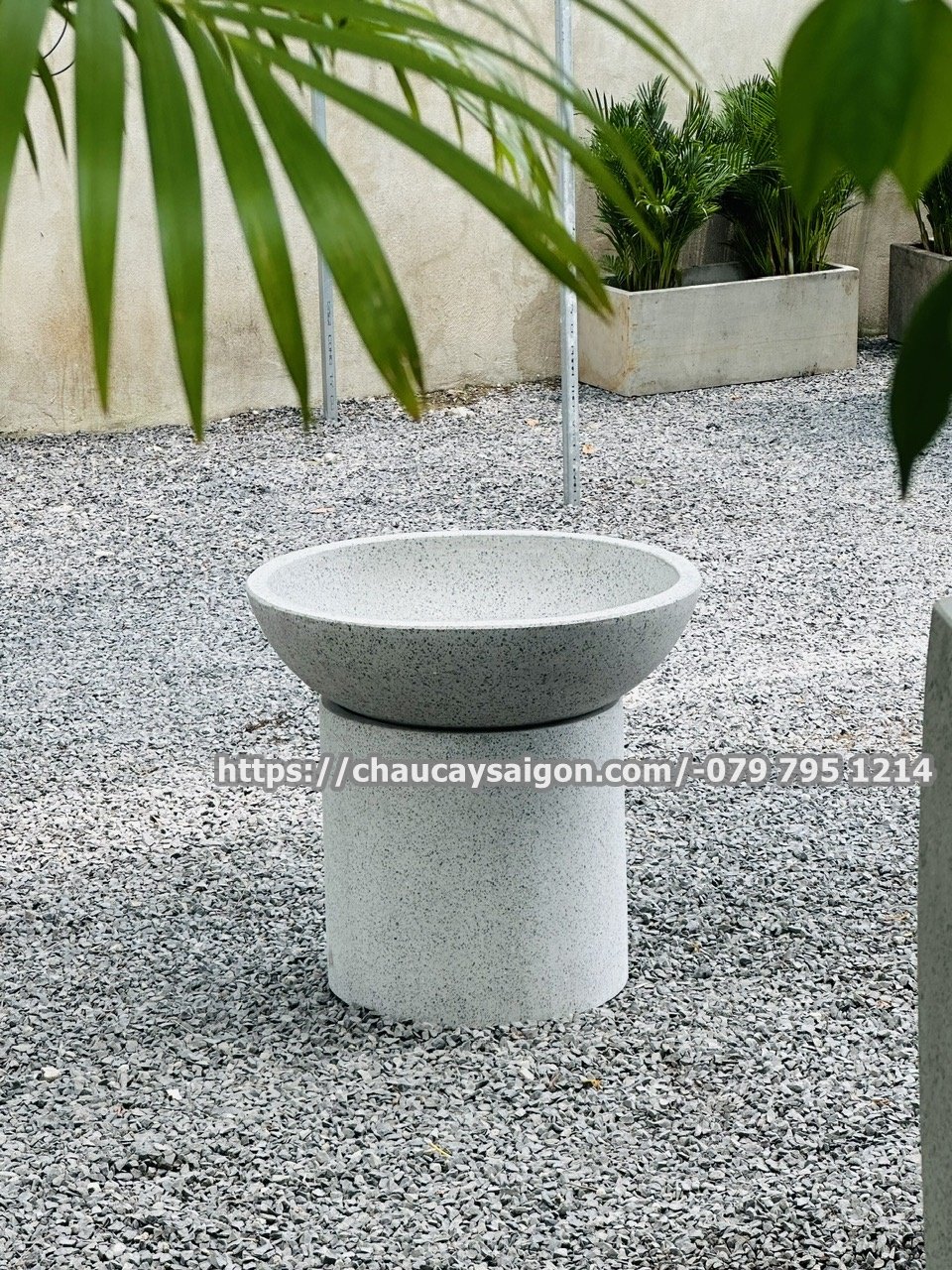 Chậu xi măng đá mài trồng sen-nuôi cá