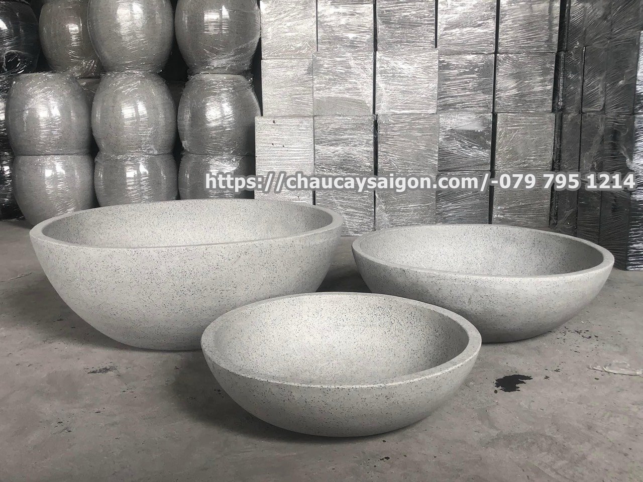 Chậu xi măng đá mài trồng sen-nuôi cá 2