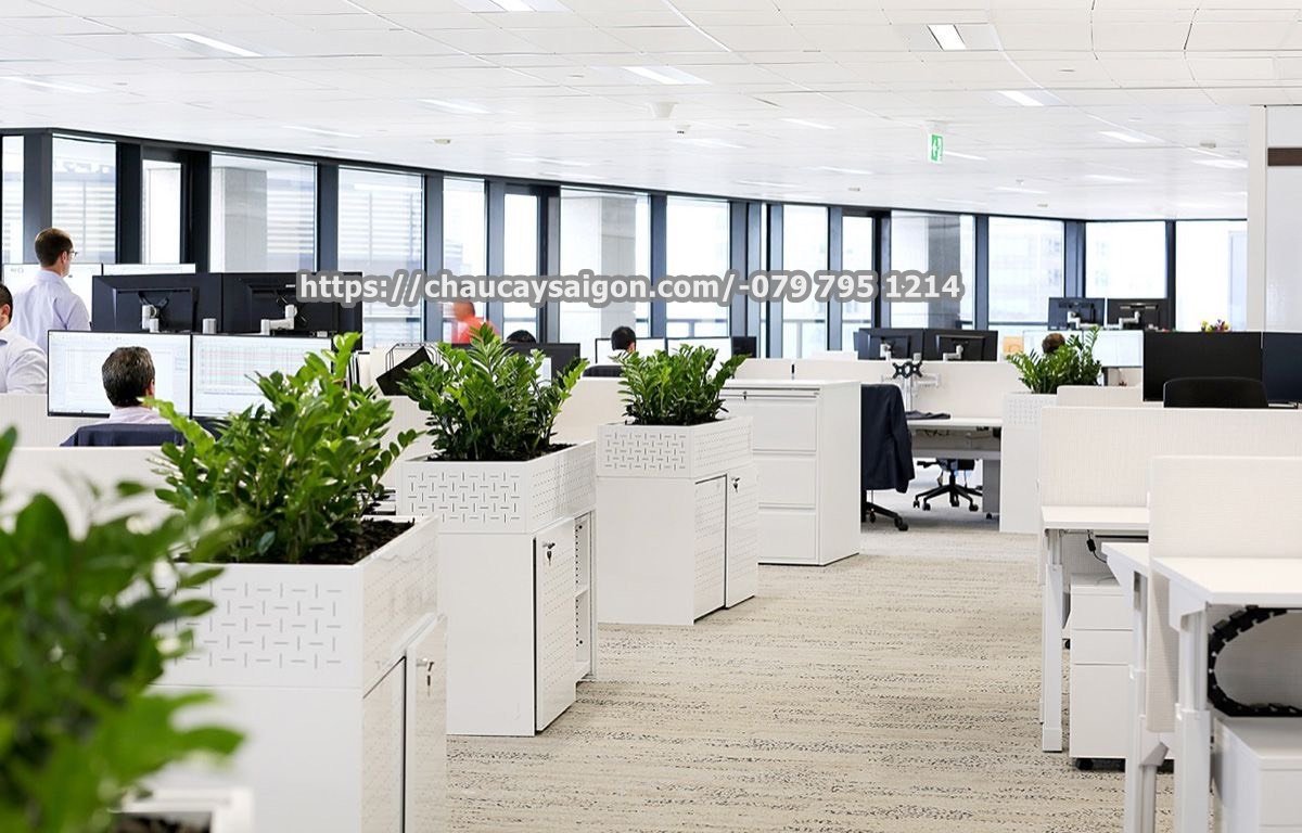 Chậu composite chữ nhật 2