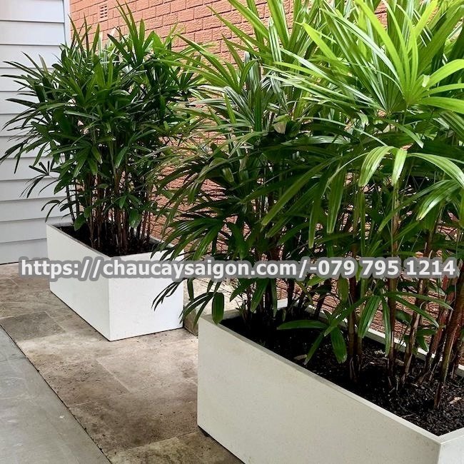 Chậu composite chữ nhật