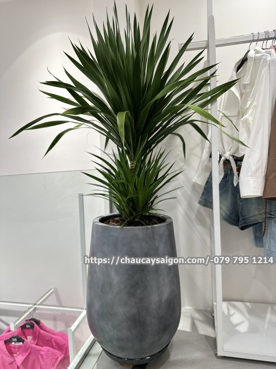Chậu composite tròn 35×55 2