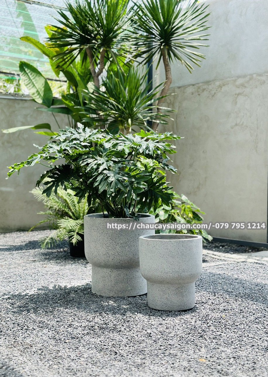 Chậu xi măng đá mài hình tròn 2