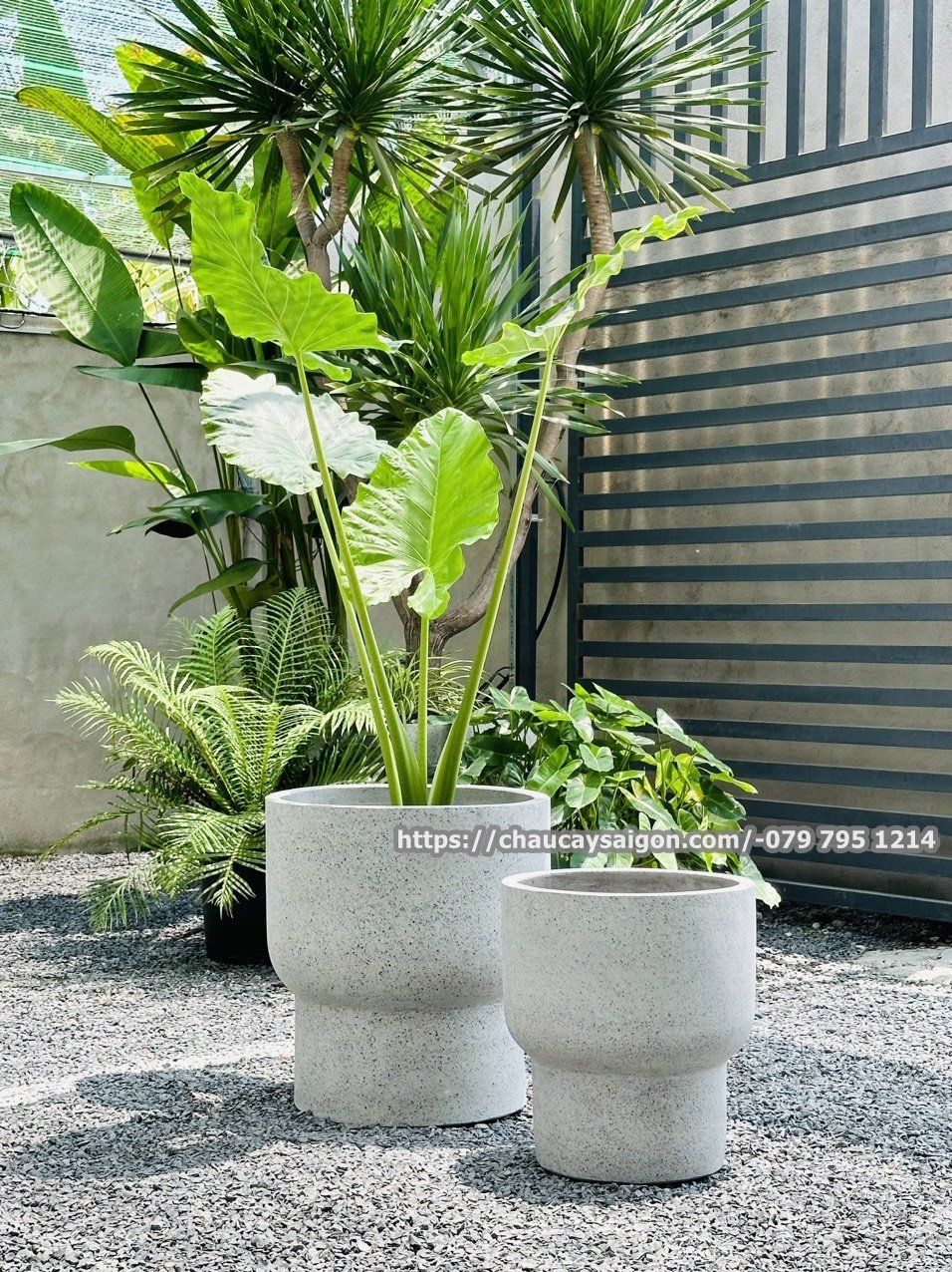 Chậu xi măng đá mài hình tròn 3