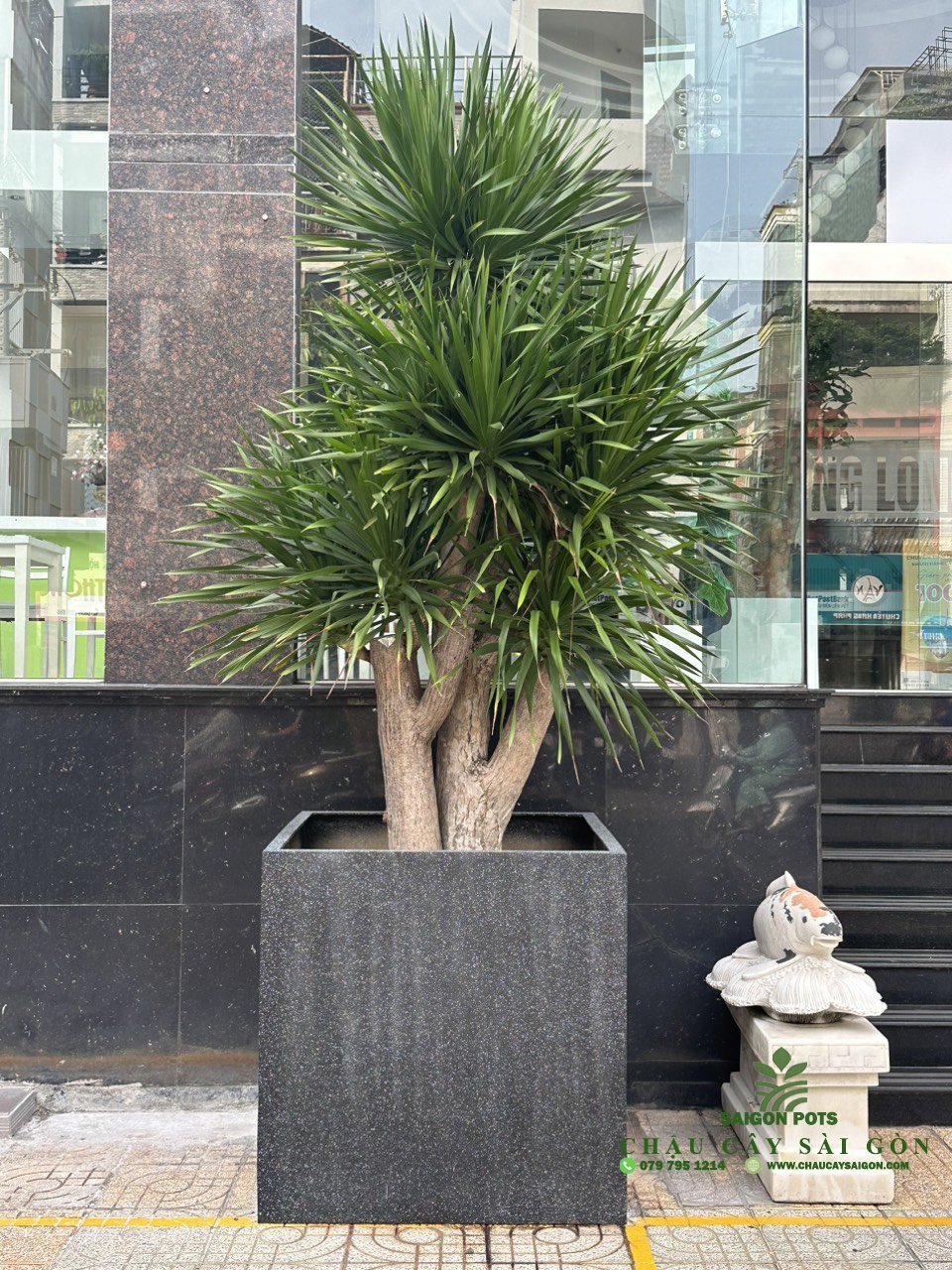 Chậu composite hình vuông