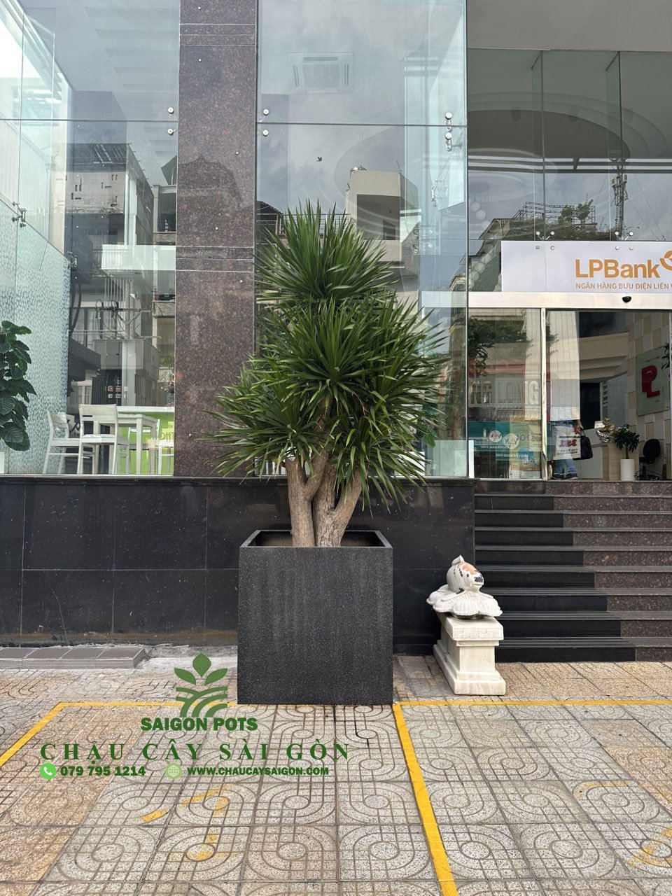 Chậu composite hình vuông 2