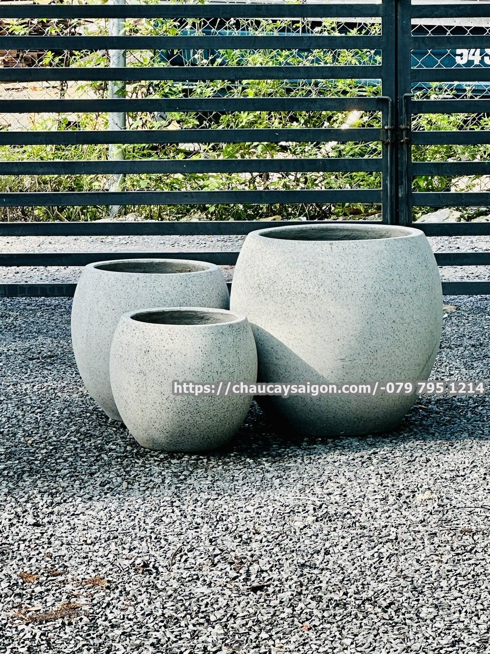 Chậu xi măng đá mài hình gáo dừa 2