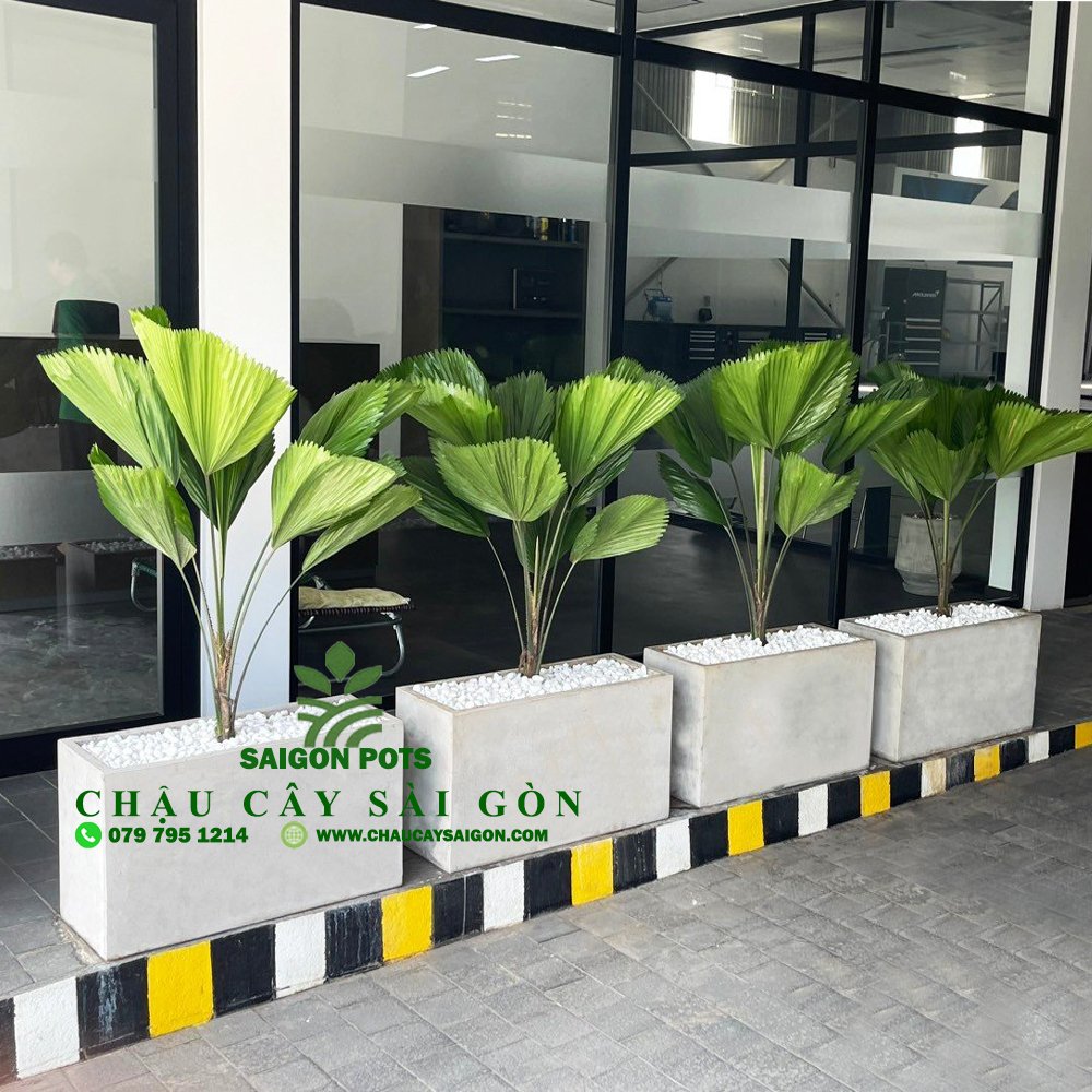 Chậu xi măng chữ nhật