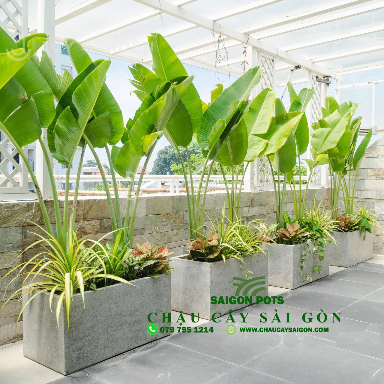 Chậu xi măng chữ nhật màu xám 048