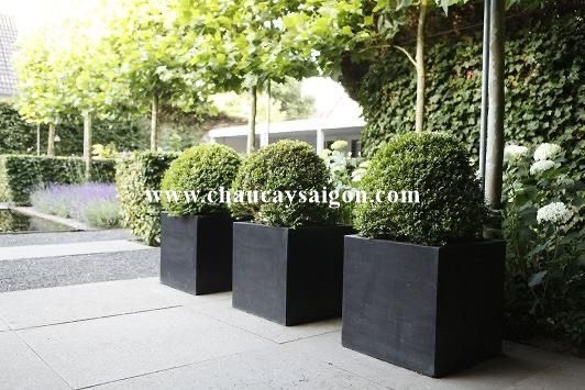 Chậu xi măng đá mài vuông 90x90x90 giá 3.000.000 2