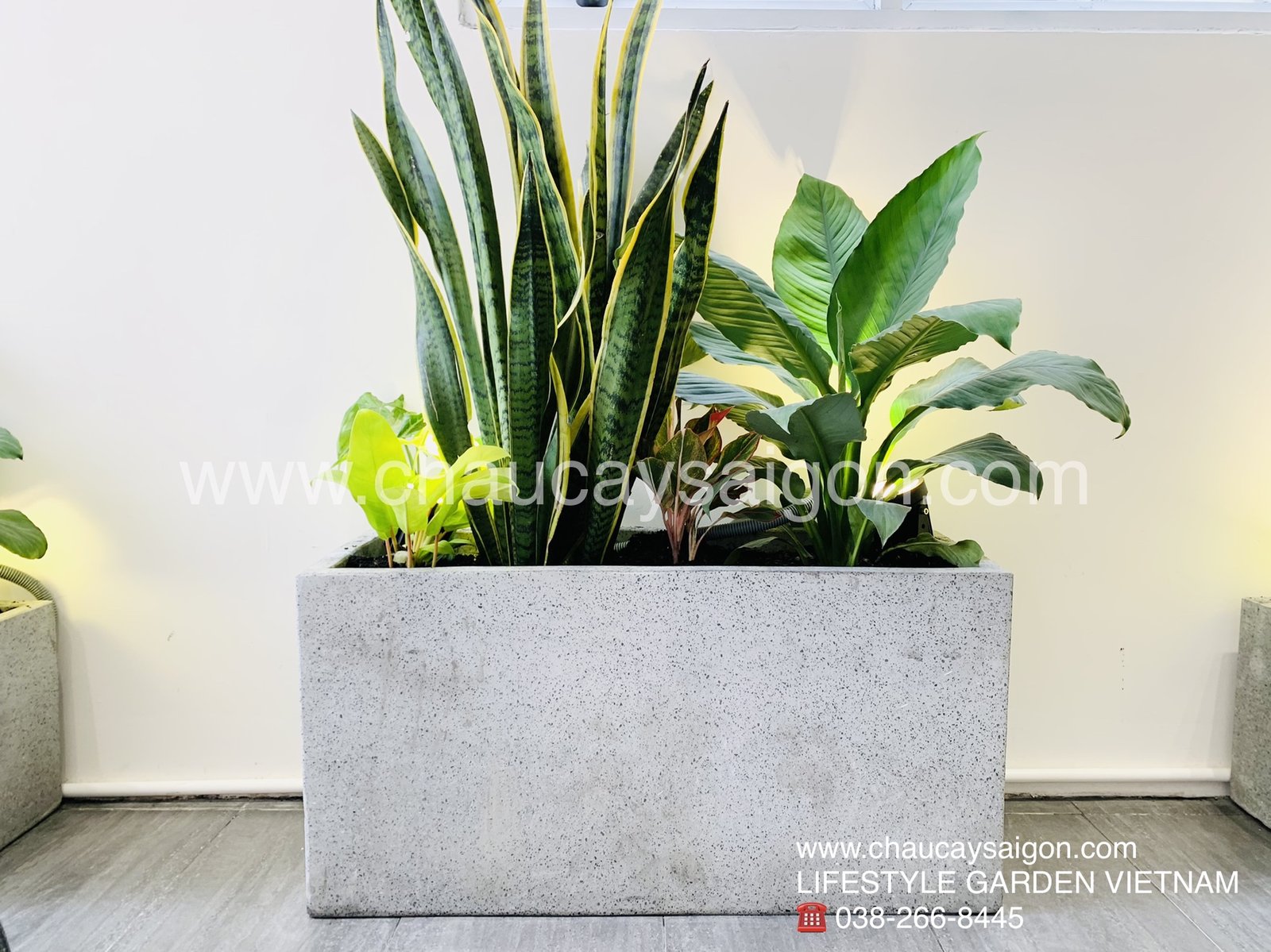 Chậu xi măng đá mài xám chữ nhật 60x30x30