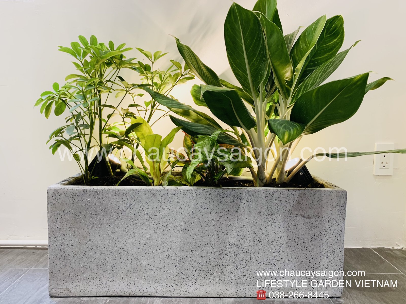 Chậu xi măng đá mài xám chữ nhật 60x30x30 2