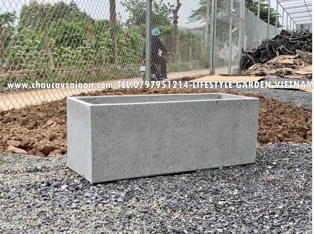 Chậu xi măng chữ nhật-Chậu chữ nhật xi măng 60×30 3