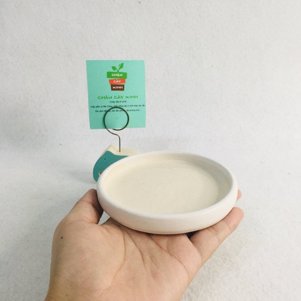 Chậu Đĩa tròn 10 2