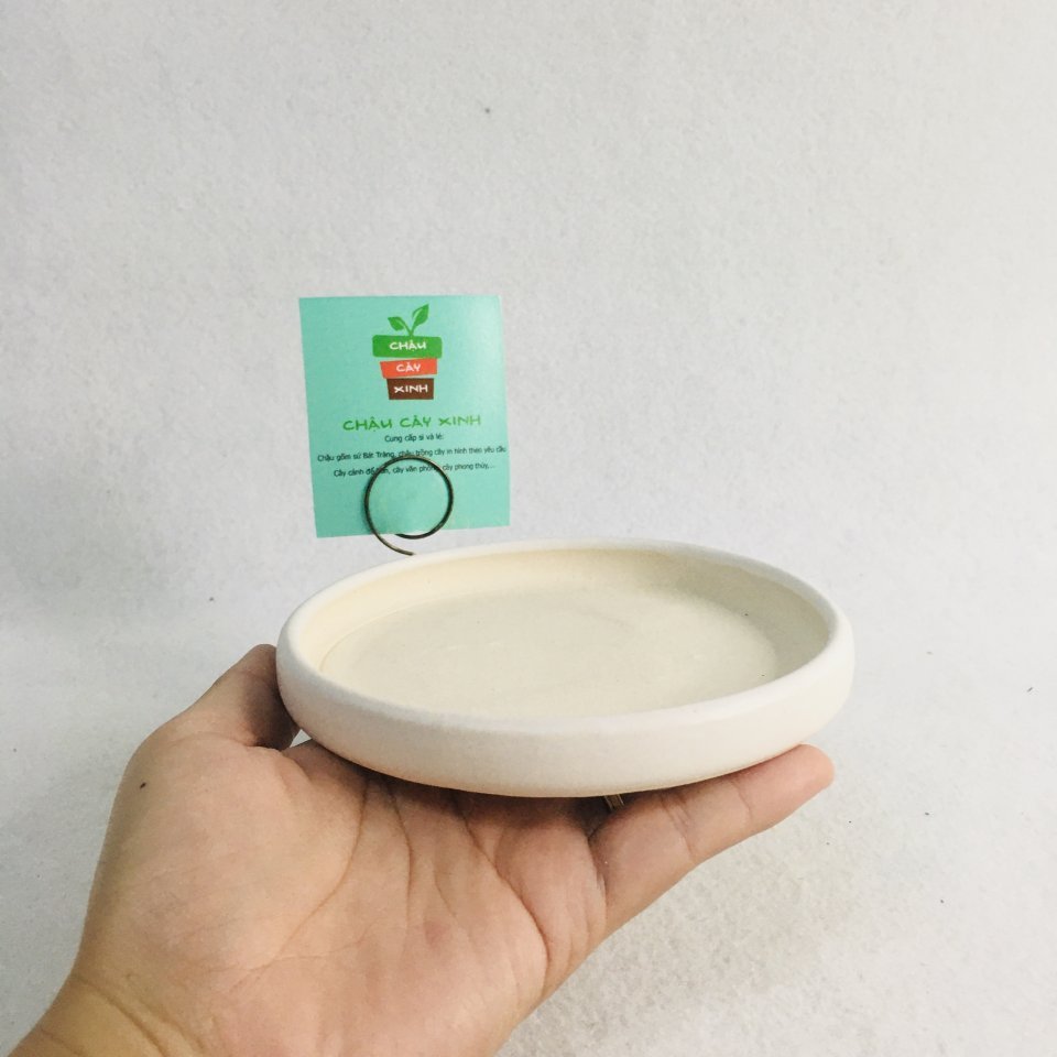 Chậu Đĩa tròn 12 2