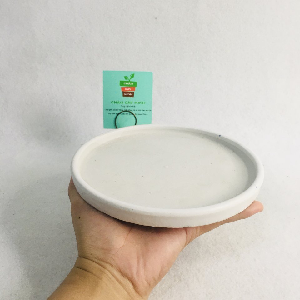 Chậu Đĩa tròn 16 2