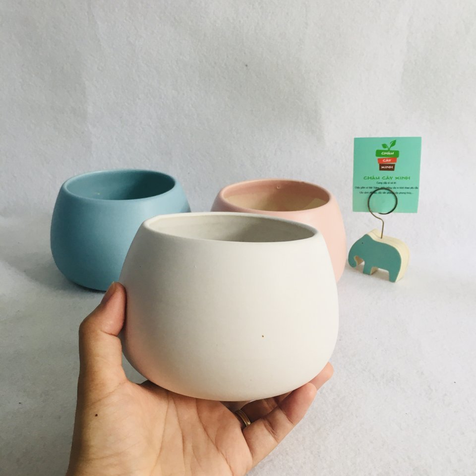 Chậu Hạt dẻ 10 2