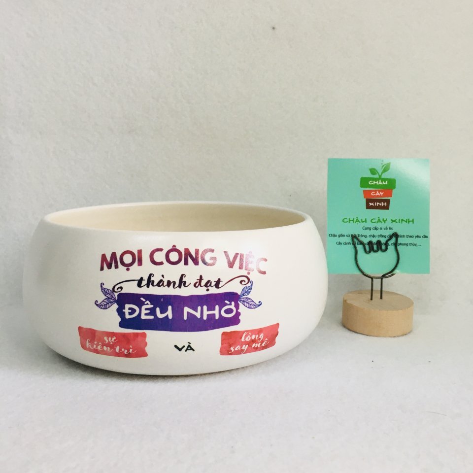 Chậu Hạt dẻ lùn 14 3