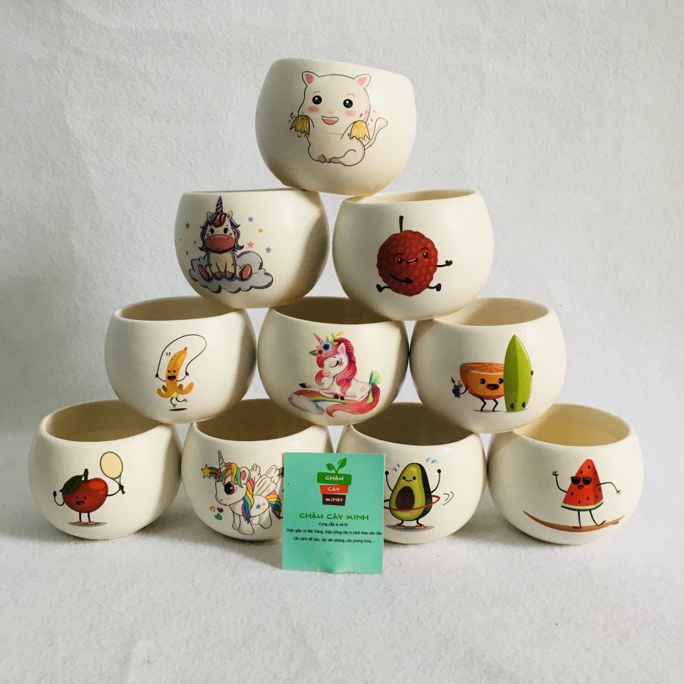 Chậu Hạt dẻ Mini
