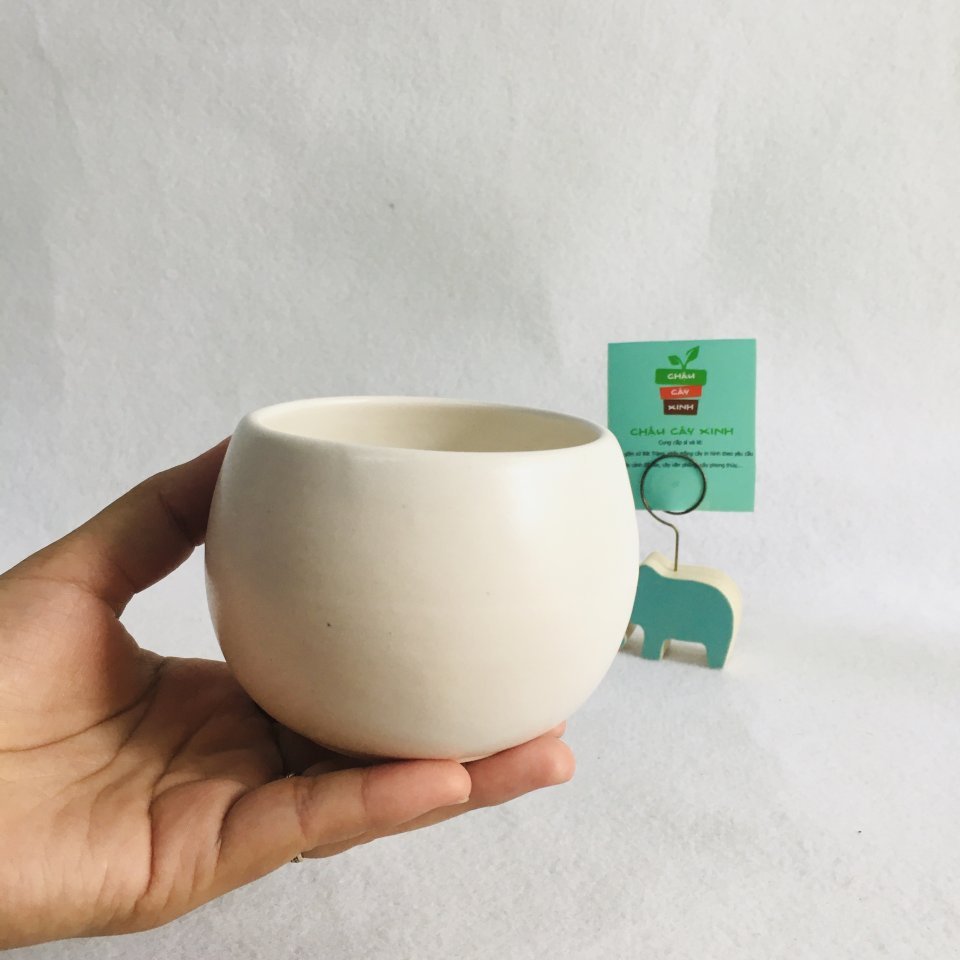 Chậu Hạt dẻ Mini 3