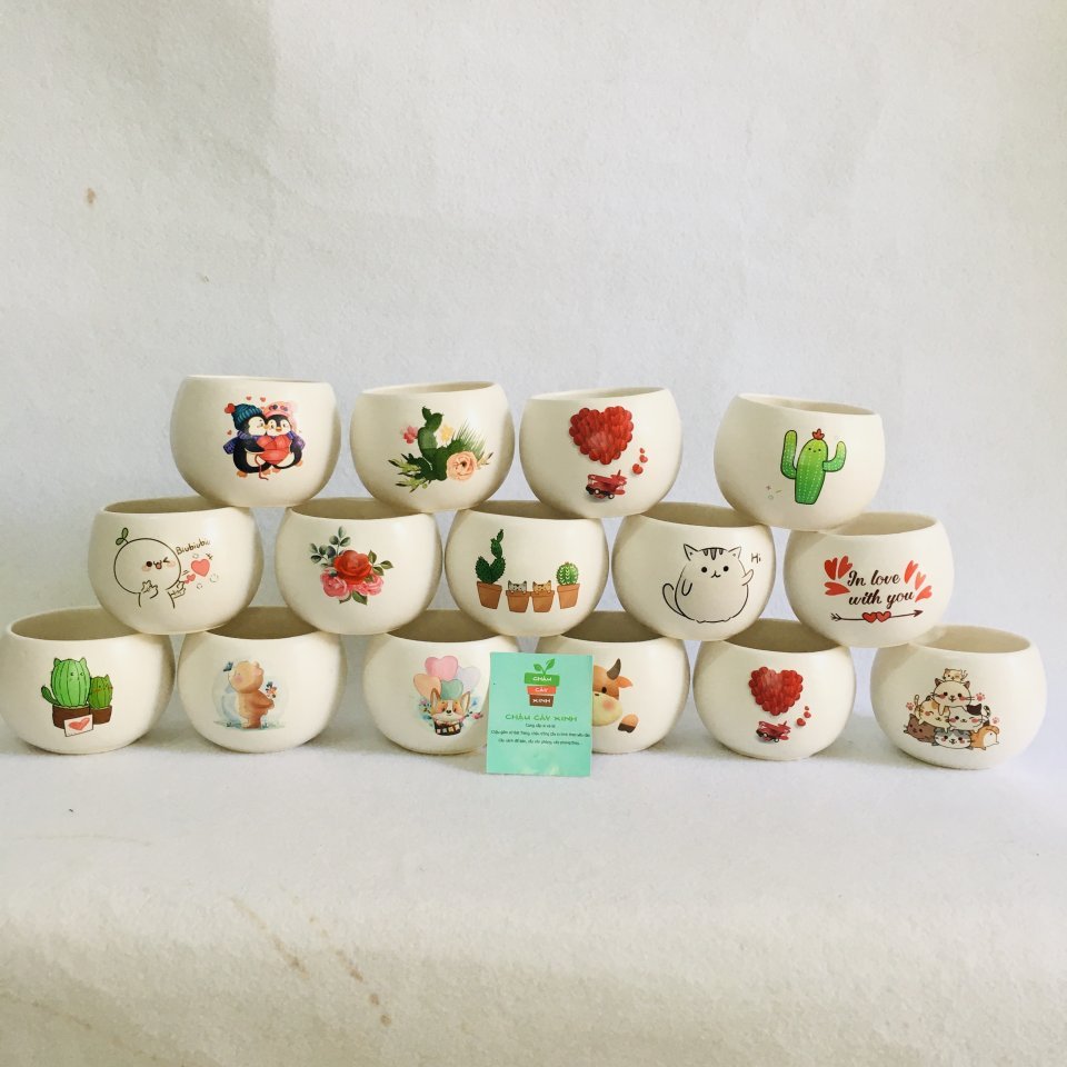 Chậu Hạt dẻ Mini 2