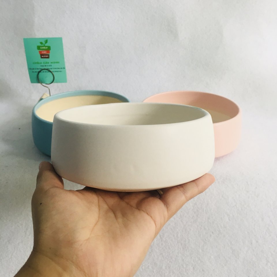 Chậu Kim cương miệng rộng 13 2