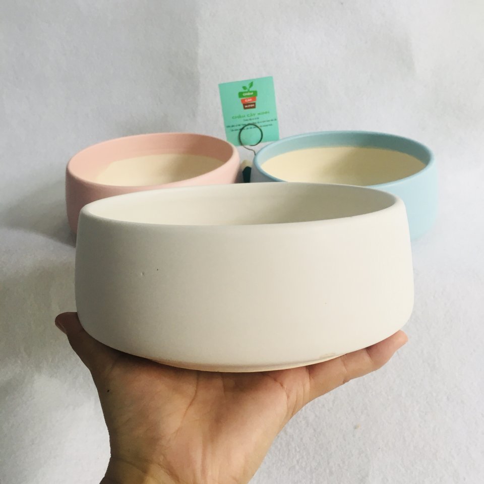 Chậu Kim cương miệng rộng 17 2