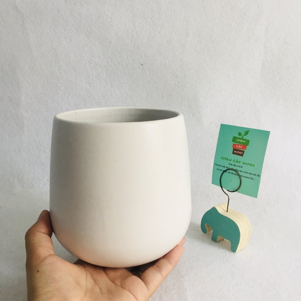Chậu Lê 12 2