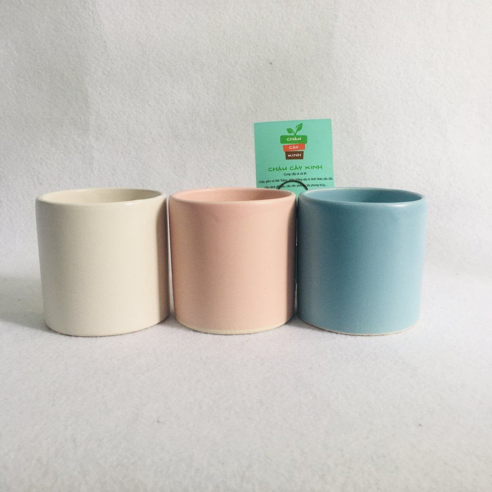 Chậu Trụ Mini