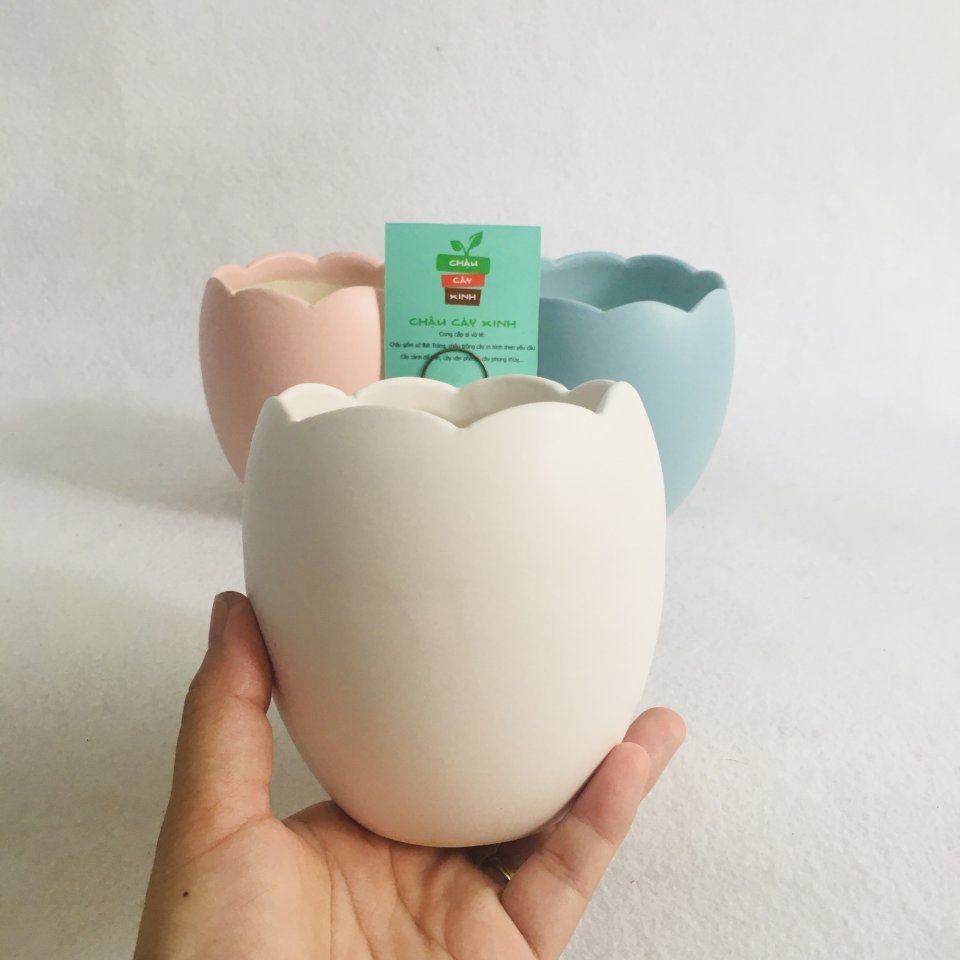 Chậu Trứng 10 2