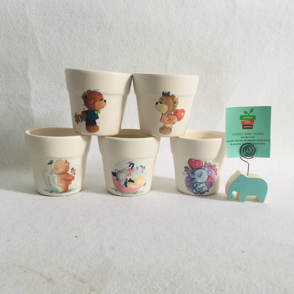 Chậu Vành miệng mini