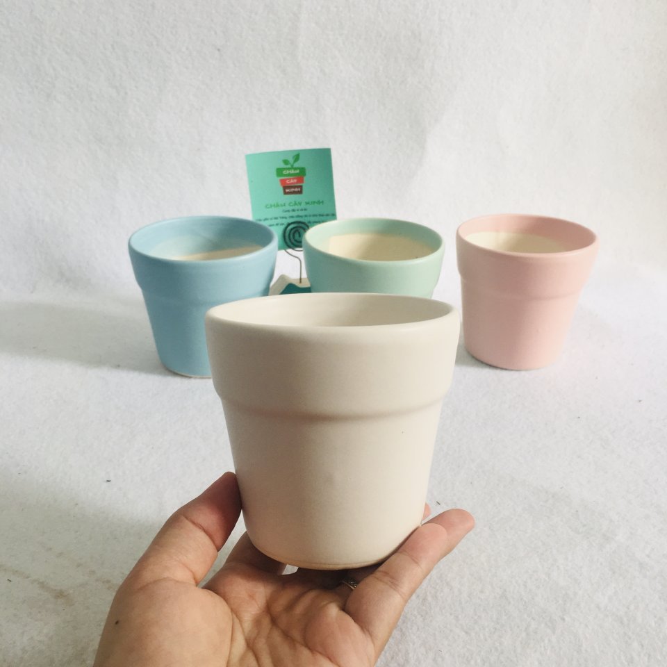 Chậu Vành miệng mini 3