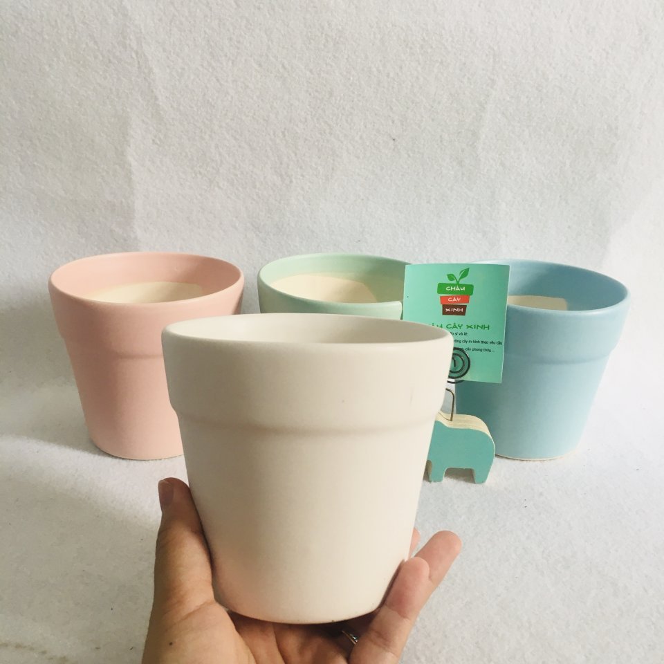 Chậu Vành miệng 11 3
