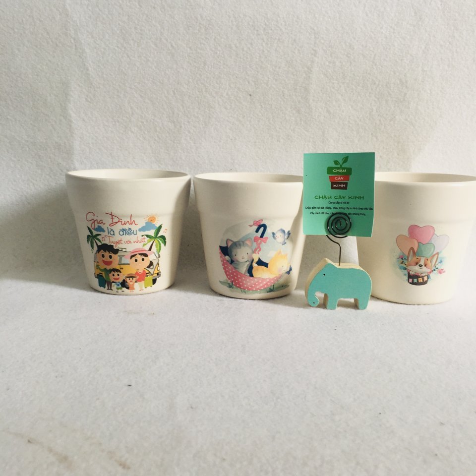 Chậu Vành miệng 11