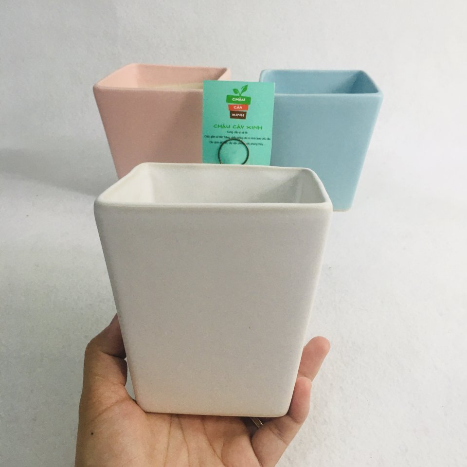 Chậu Vuông Vát 12 3