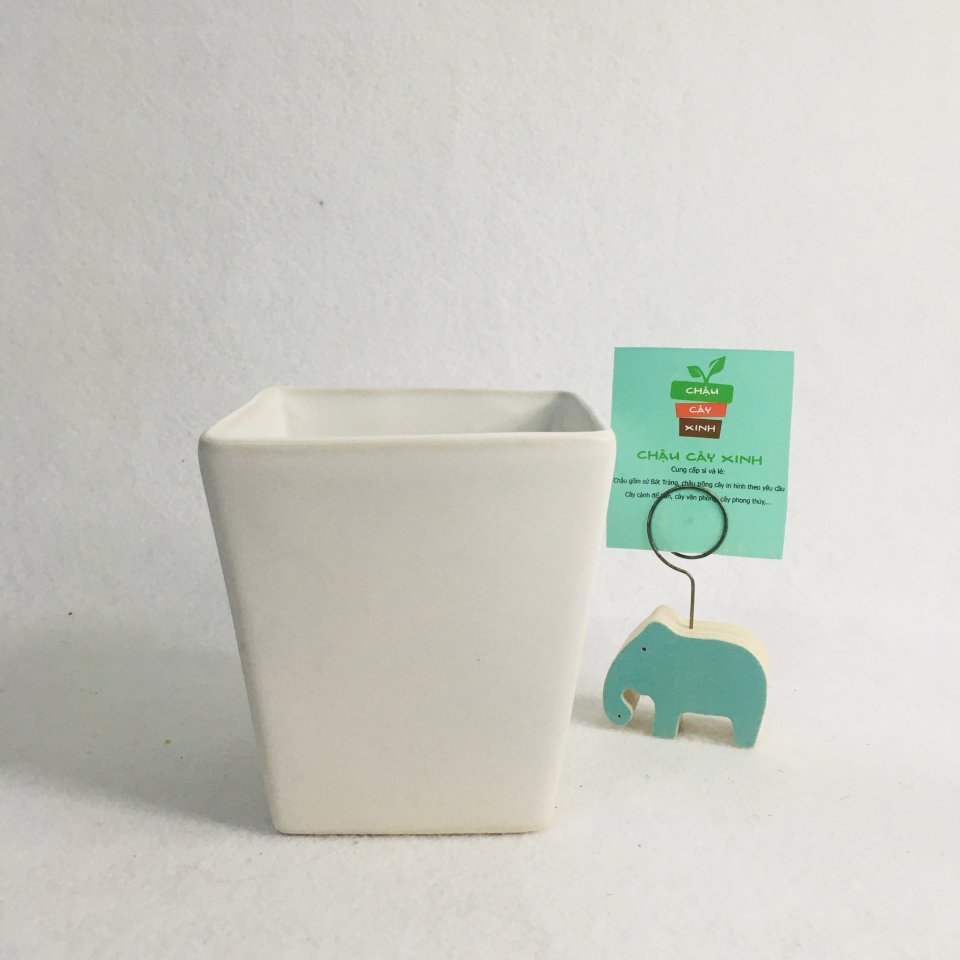 Chậu Vuông Vát 12