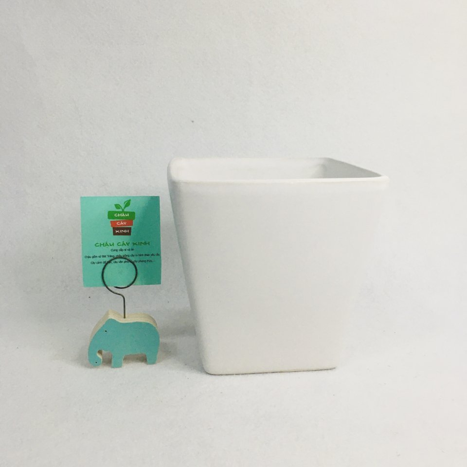 Chậu Vuông Vát 15 3