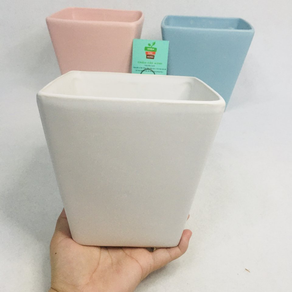 Chậu Vuông Vát 15 2