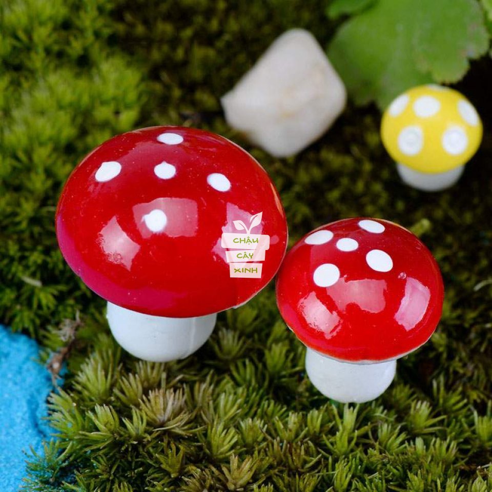 Nấm xốp nhỏ 2cm 2