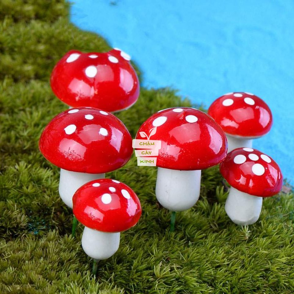 Nấm xốp nhỏ 2cm