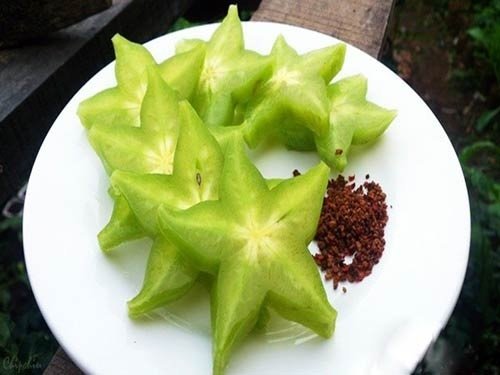 Cây Khế Chua 3