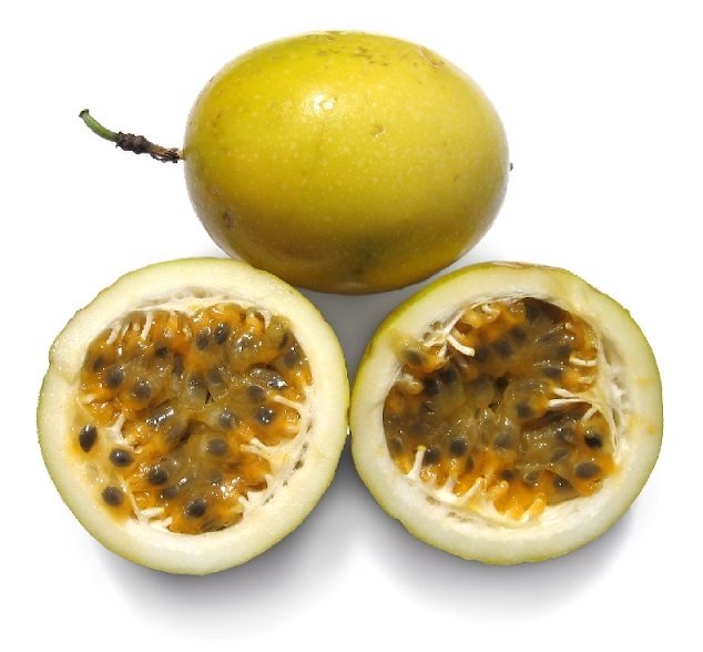 Cây Chanh Dây (quả vàng) 2