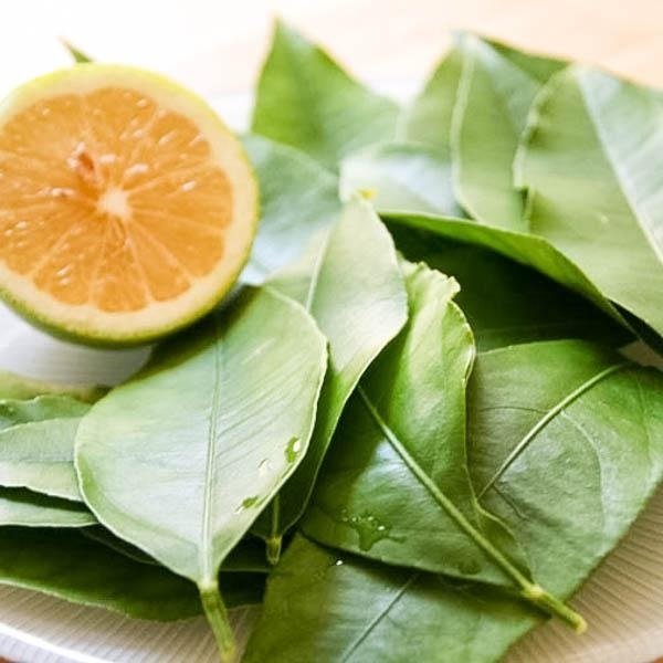 Cây Chanh Bắc