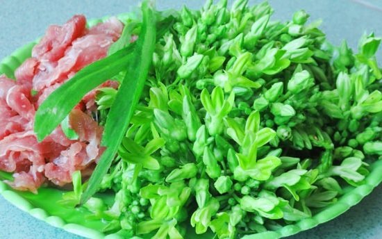Cây Hoa Thiên Lý 3