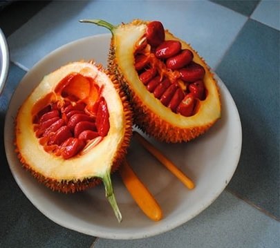 Cây Giấc Giống 3