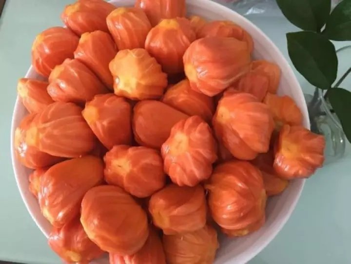 Cây Mít Ruột Đỏ Malaysia 2