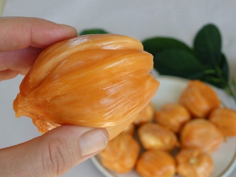 Cây Mít Ruột Đỏ Malaysia